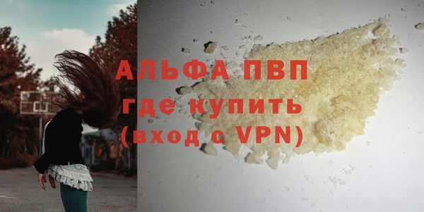 прущие грибы Нея