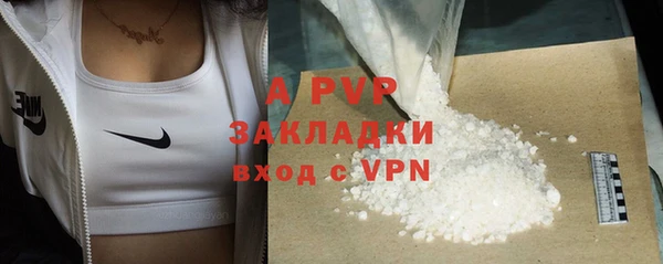 прущие грибы Нея