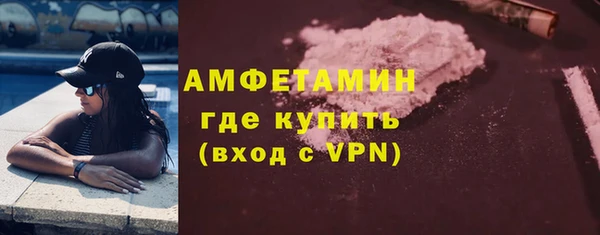 шишки Дегтярск