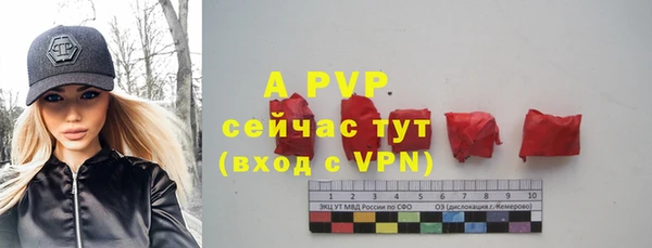 ГАЛЛЮЦИНОГЕННЫЕ ГРИБЫ Дедовск