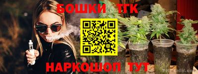 индика Гагарин