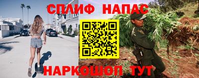 ГАЛЛЮЦИНОГЕННЫЕ ГРИБЫ Бийск