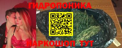 индика Гагарин