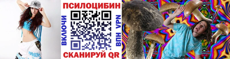 Псилоцибиновые грибы Psilocybe  Краснознаменск 