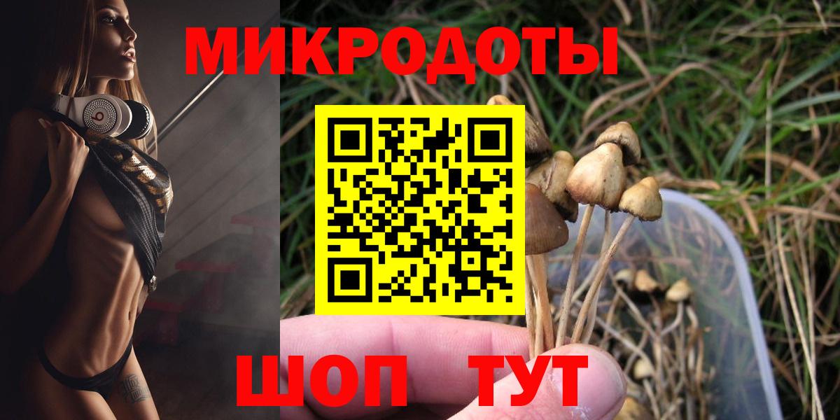 Псилоцибиновые грибы GOLDEN TEACHER Краснознаменск