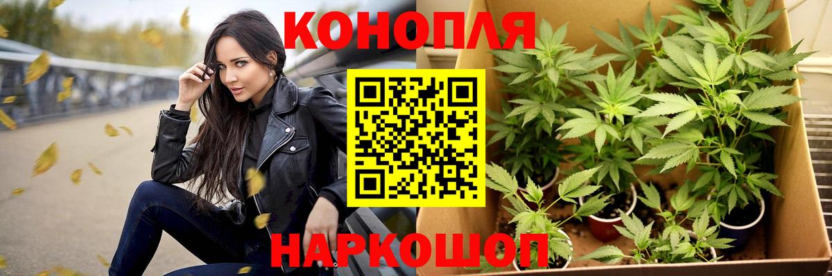 Бошки марихуана SATIVA & INDICA Краснознаменск
